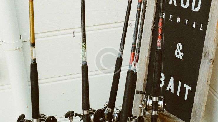 We Help You Select Your Fishing Rod